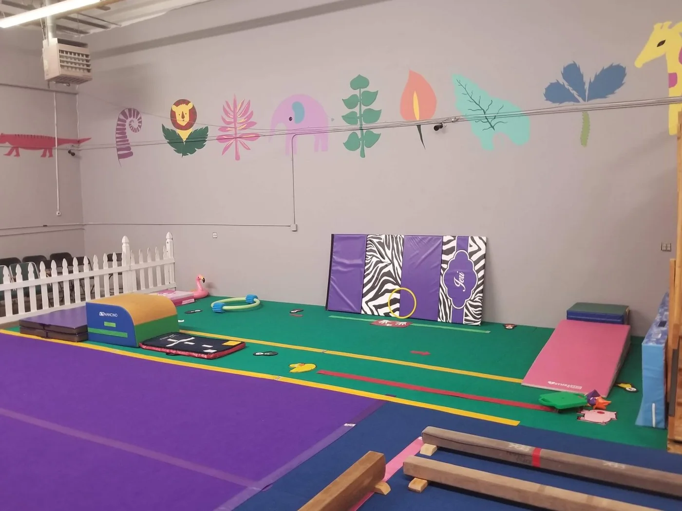 FlightSchool Gymnastics, business photo 2