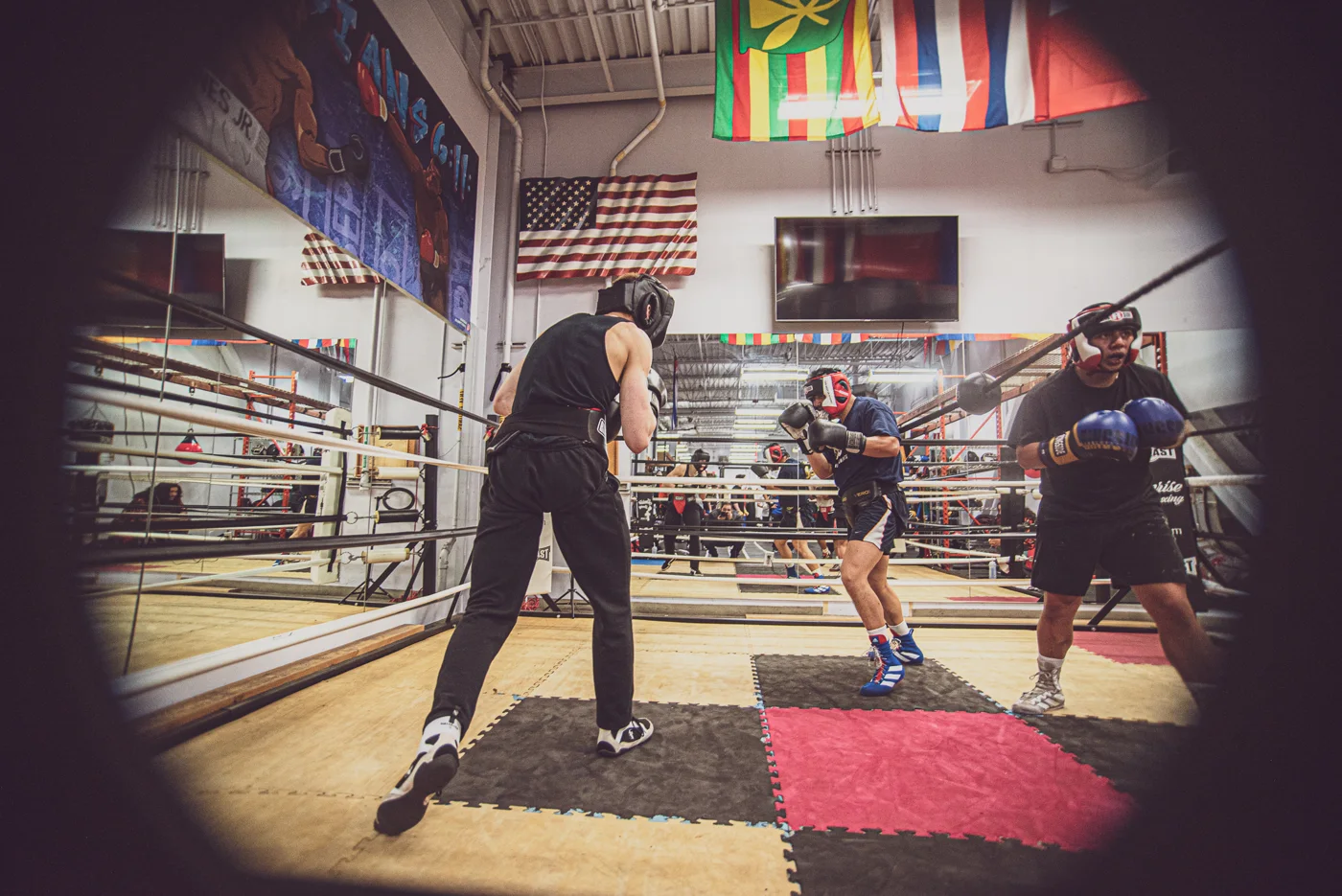 Sonrise Boxing T.E.A.M, business photo 2