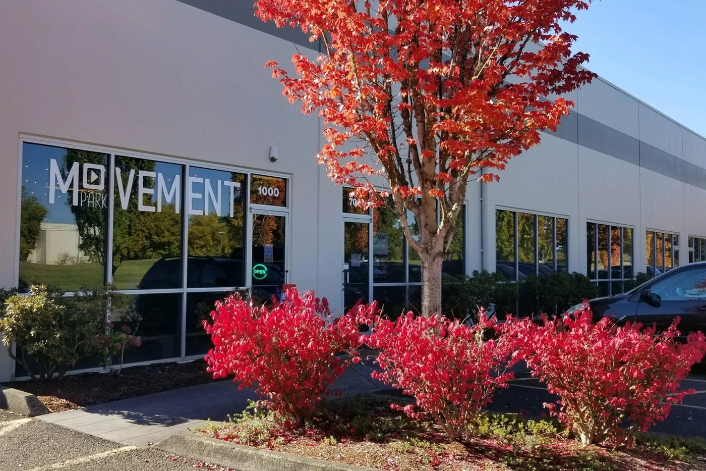 The Movement Park business photo